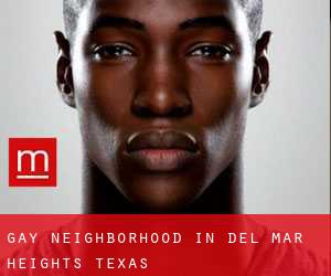 Gay Neighborhood in Del Mar Heights (Texas)