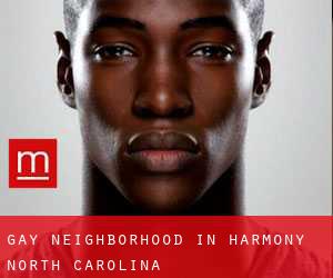 Gay Neighborhood in Harmony (North Carolina)