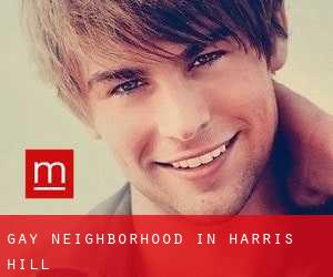 Gay Neighborhood in Harris Hill