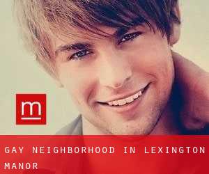 Gay Neighborhood in Lexington Manor
