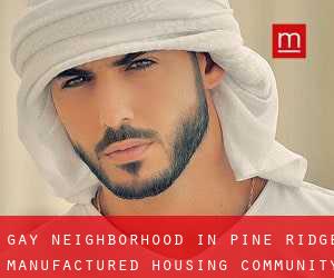 Gay Neighborhood in Pine Ridge Manufactured Housing Community