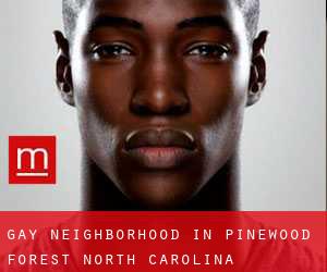 Gay Neighborhood in Pinewood Forest (North Carolina)