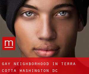 Gay Neighborhood in Terra Cotta (Washington, D.C.)