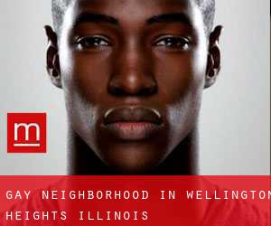 Gay Neighborhood in Wellington Heights (Illinois)
