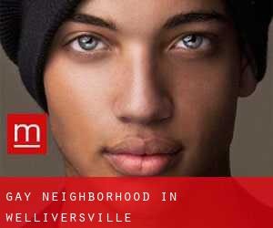 Gay Neighborhood in Welliversville
