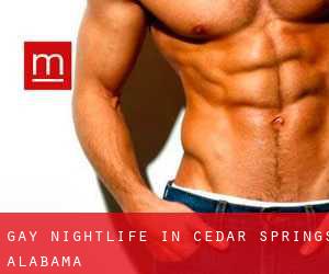 Gay Nightlife in Cedar Springs (Alabama)
