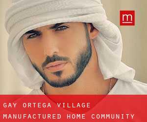 gay Ortega Village Manufactured Home Community (Duval County, Florida)