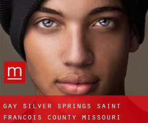 gay Silver Springs (Saint Francois County, Missouri)
