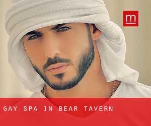 Gay Spa in Bear Tavern