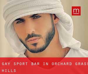 Gay Sport Bar in Orchard Grass Hills
