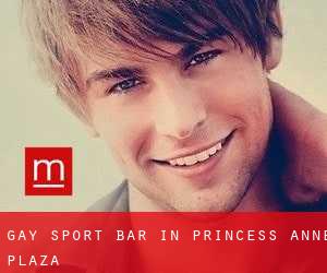 Gay Sport Bar in Princess Anne Plaza