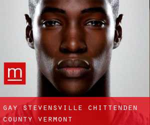 gay Stevensville (Chittenden County, Vermont)