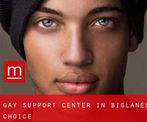 Gay Support Center in Biglanes Choice