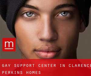 Gay Support Center in Clarence Perkins Homes