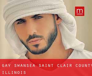 gay Swansea (Saint Clair County, Illinois)