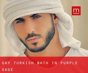 Gay Turkish Bath in Purple Sage