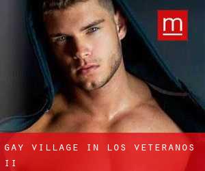 Gay Village in Los Veteranos II