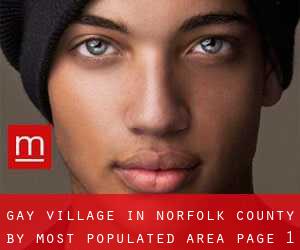 Gay Village in Norfolk County by most populated area - page 1