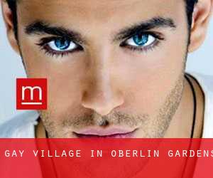 Gay Village in Oberlin Gardens