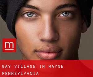Gay Village in Wayne (Pennsylvania)