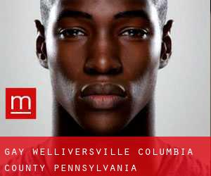 gay Welliversville (Columbia County, Pennsylvania)