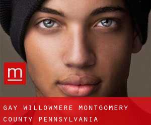 gay Willowmere (Montgomery County, Pennsylvania)