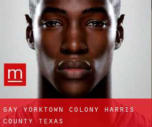 gay Yorktown Colony (Harris County, Texas)