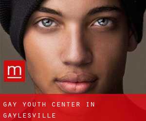 Gay Youth Center in Gaylesville