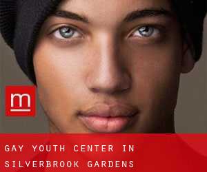 Gay Youth Center in Silverbrook Gardens