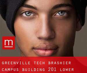 Greenville Tech Brashier Campus Building 201 Lower level Restroom (Pine Brook Forest)