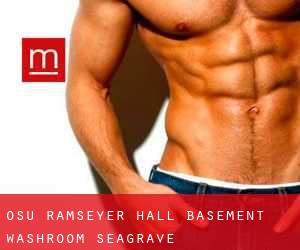 OSU Ramseyer Hall Basement Washroom (Seagrave)