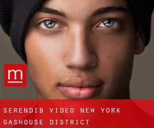 Serendib Video New York (Gashouse District)