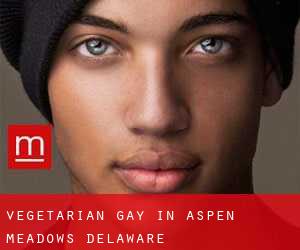 Vegetarian Gay in Aspen Meadows (Delaware)
