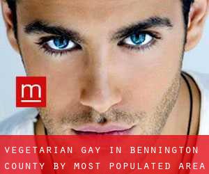Vegetarian Gay in Bennington County by most populated area - page 1