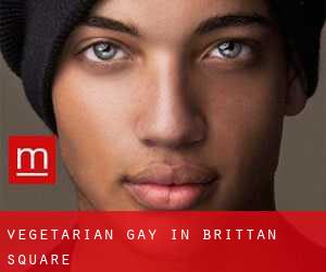 Vegetarian Gay in Brittan Square