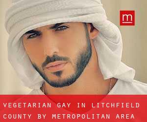 Vegetarian Gay in Litchfield County by metropolitan area - page 1
