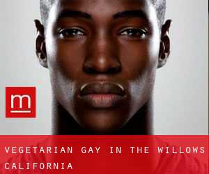 Vegetarian Gay in The Willows (California)