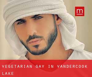 Vegetarian Gay in Vandercook Lake